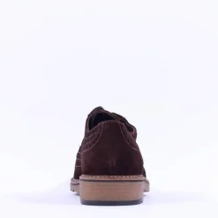 Ara Men Alessio Suede Wingtip Brogue - Brown Suede