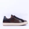 Ambitious Anopolis Logo Trainer - Brown