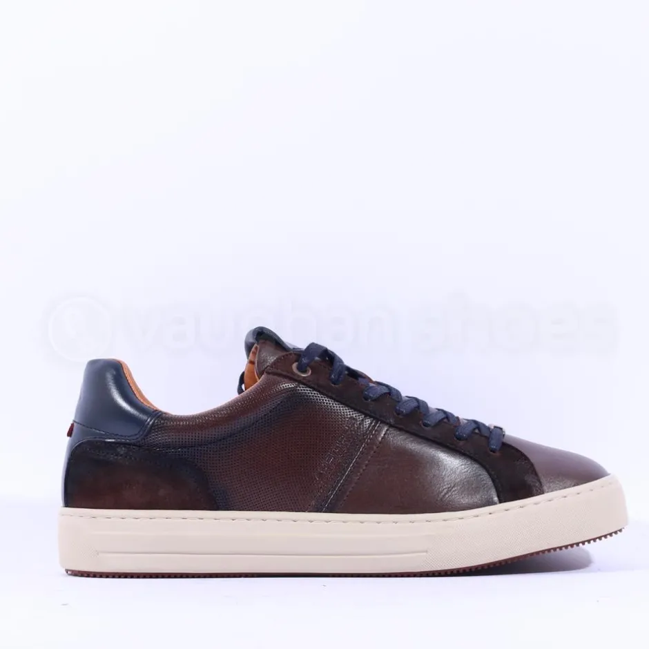 Ambitious Anopolis Logo Trainer - Brown