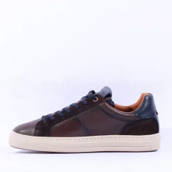 Ambitious Anopolis Logo Trainer - Brown