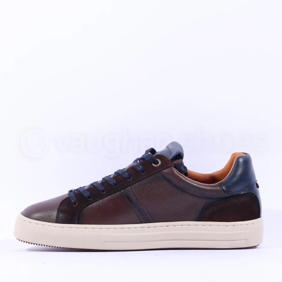 Ambitious Anopolis Logo Trainer - Brown