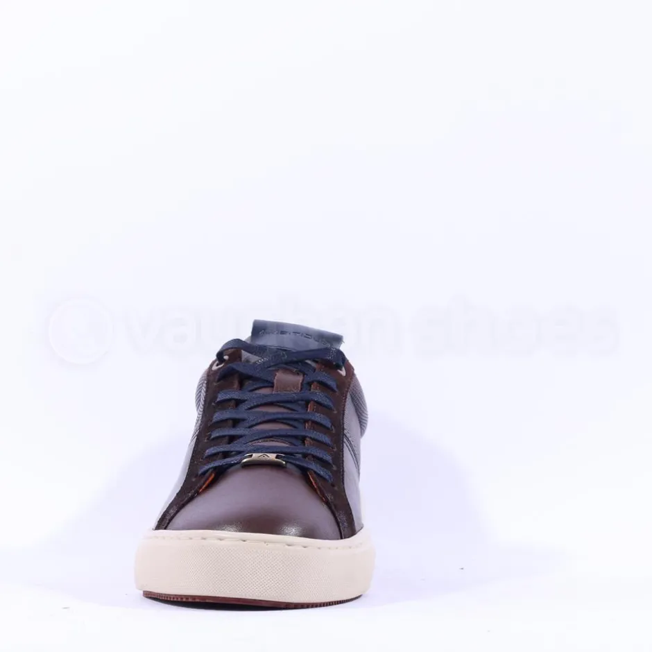 Ambitious Anopolis Logo Trainer - Brown