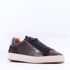 Ambitious Anopolis Logo Trainer - Brown