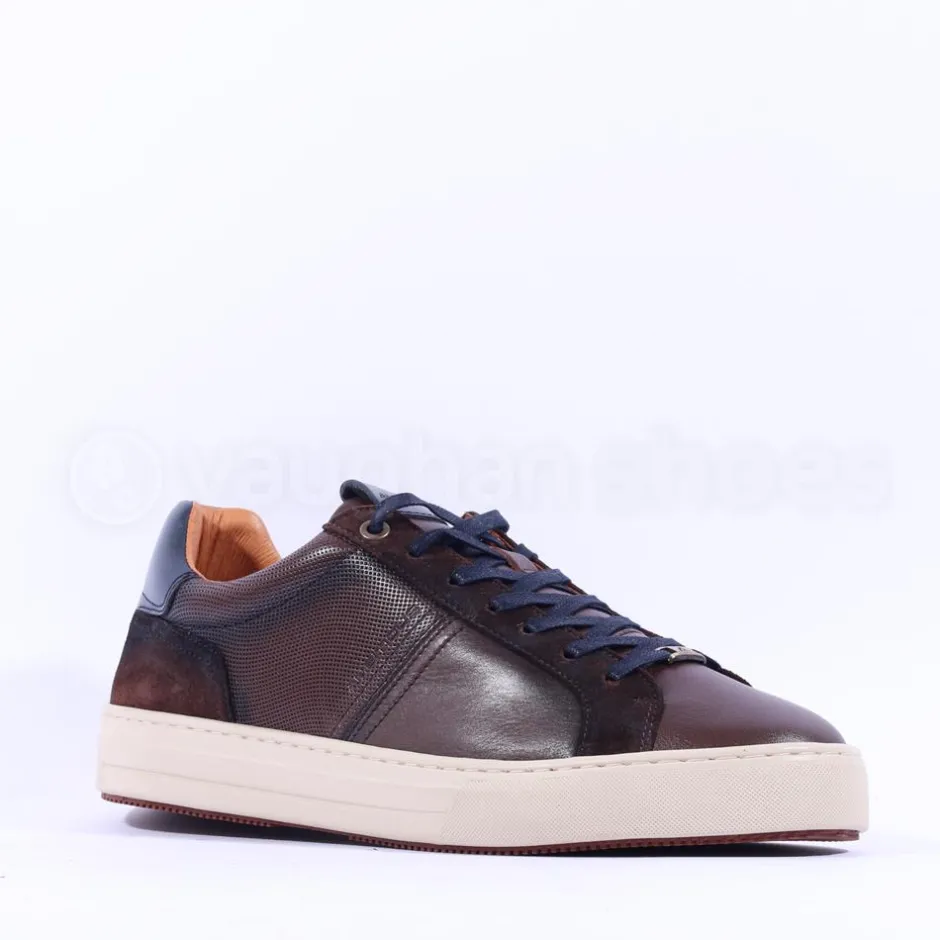 Ambitious Anopolis Logo Trainer - Brown