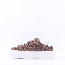 Women Victoria Barcelona Platform Lace Trainer - Leopard Print