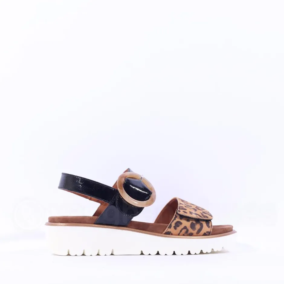 Women Ara Bilbao Twin Velcro Wedge Sandal - Black Leopard Combi