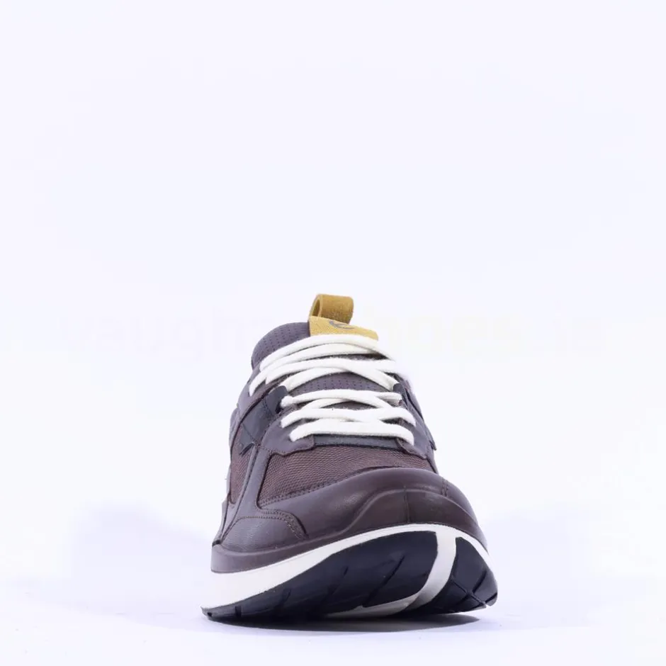 Ecco Men Biom 2.2 Goretex Trainer - Mocha