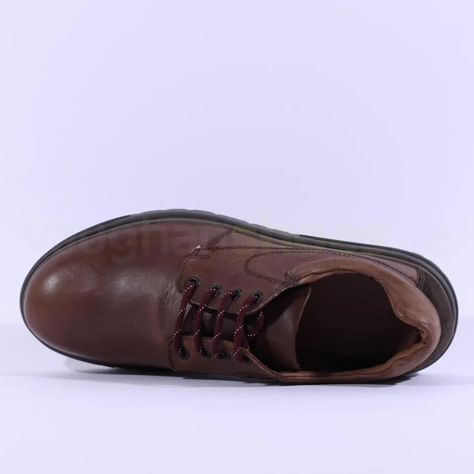 Dubarry Men Brennan - Brown