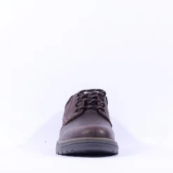 Dubarry Men Brennan - Mahogany