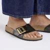 Women Birkenstock Catalina Cushion Buckle Bf - Graceful Licorice