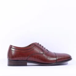 Dubarry Men Darly Toe Cap Oxford Shoe - Chestnut