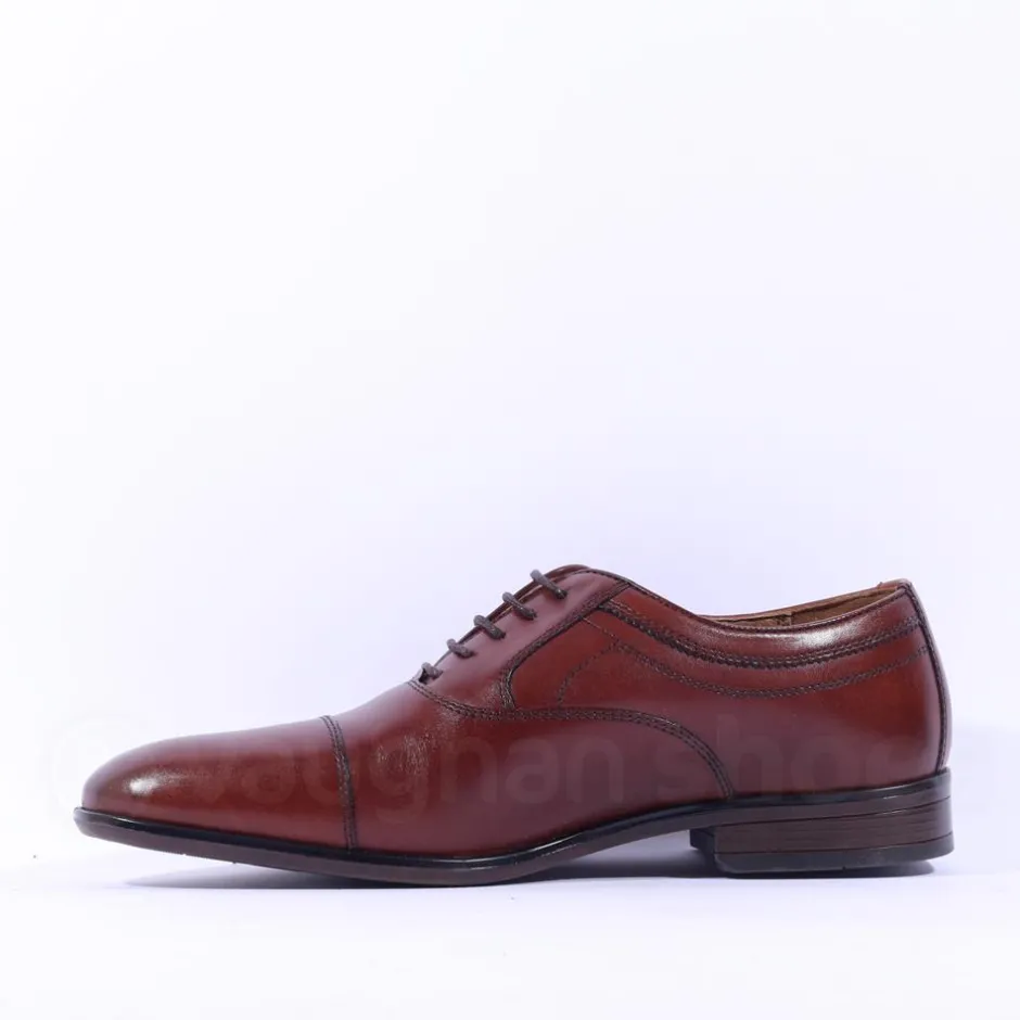 Dubarry Men Darly Toe Cap Oxford Shoe - Chestnut