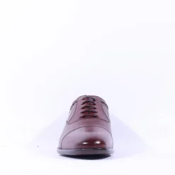 Dubarry Men Darly Toe Cap Oxford Shoe - Chestnut