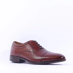 Dubarry Men Darly Toe Cap Oxford Shoe - Chestnut