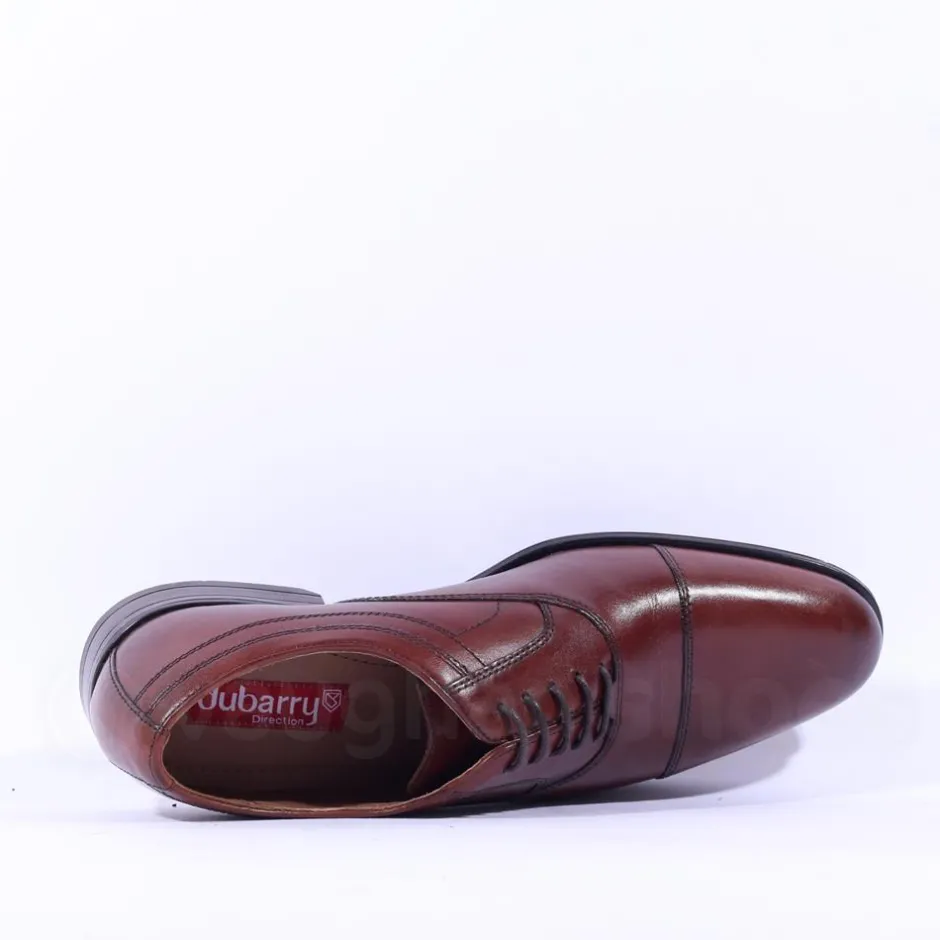 Dubarry Men Darly Toe Cap Oxford Shoe - Chestnut