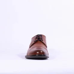 Dubarry Men Derek - Tan