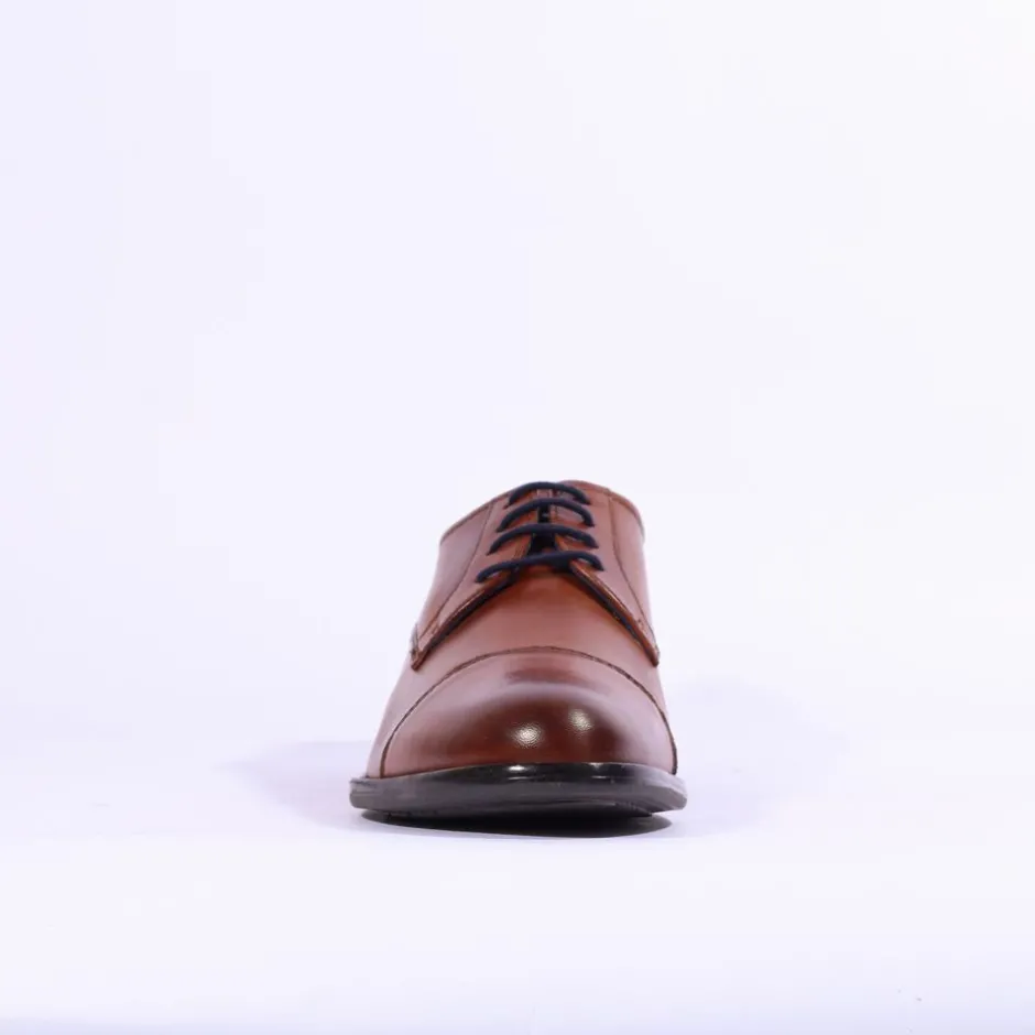 Dubarry Men Derek - Tan