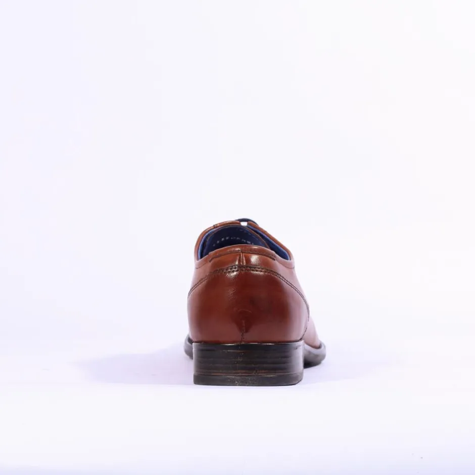 Dubarry Men Derek - Tan