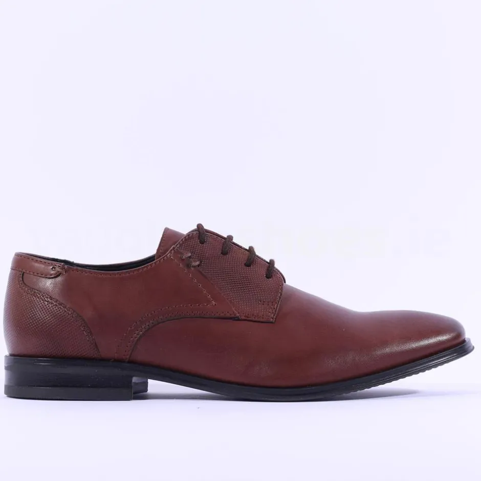 Dubarry Men Drago Laced Shoe - Brown