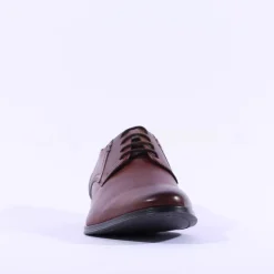 Dubarry Men Drago Laced Shoe - Brown