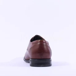 Dubarry Men Drago Laced Shoe - Brown