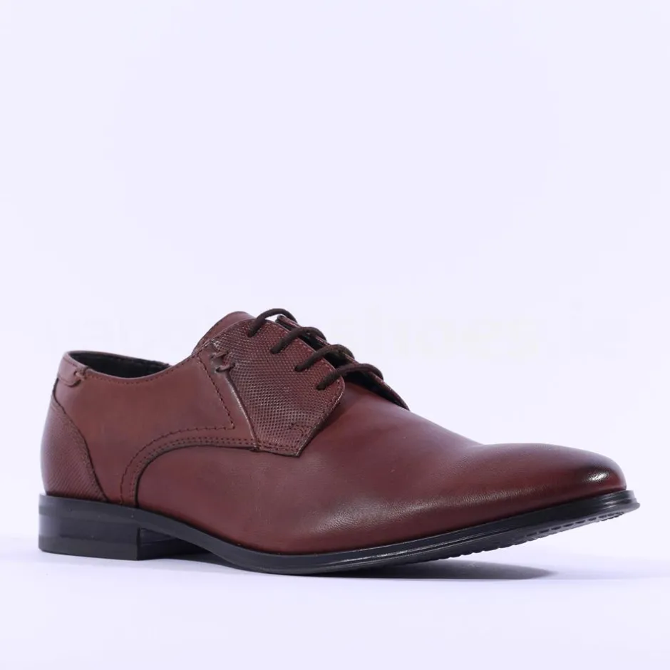 Dubarry Men Drago Laced Shoe - Brown