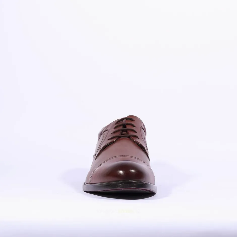 Dubarry Men Dubarry Dawson Laced Toecap - Brown