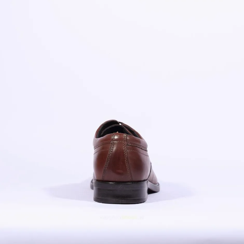 Dubarry Men Dubarry Dawson Laced Toecap - Brown