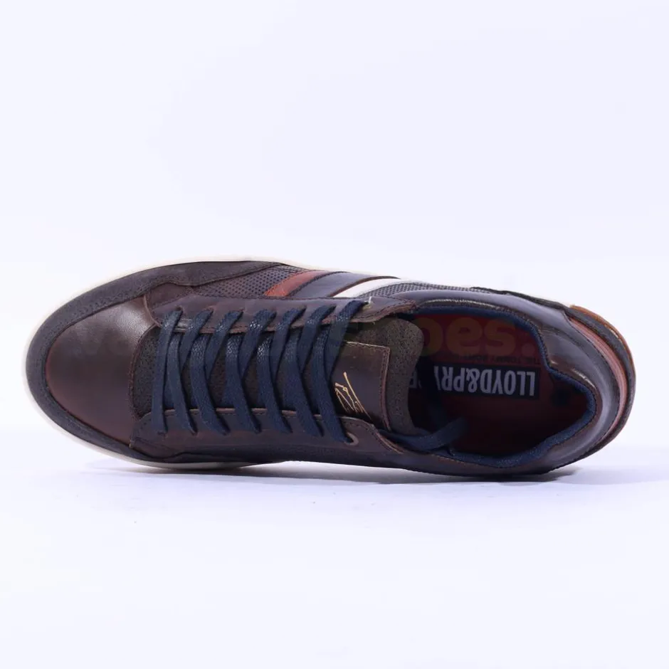 Tommy Bowe Gesi Laced Shoe - Brown Leather