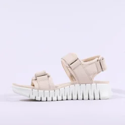 Women Ecco Women Gruuv Sol Sandal - Limestone