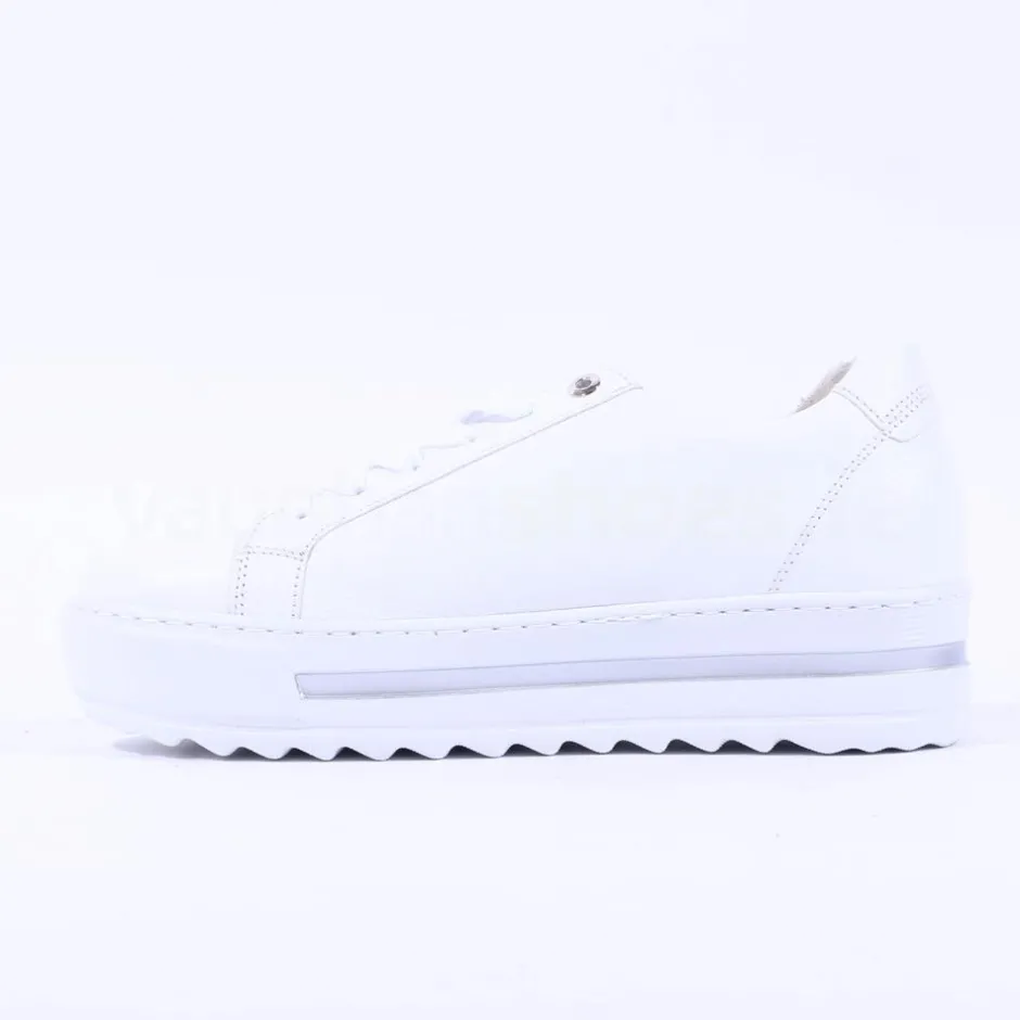 Women Gabor Heather Platform Side Zip Trainer - White Leather