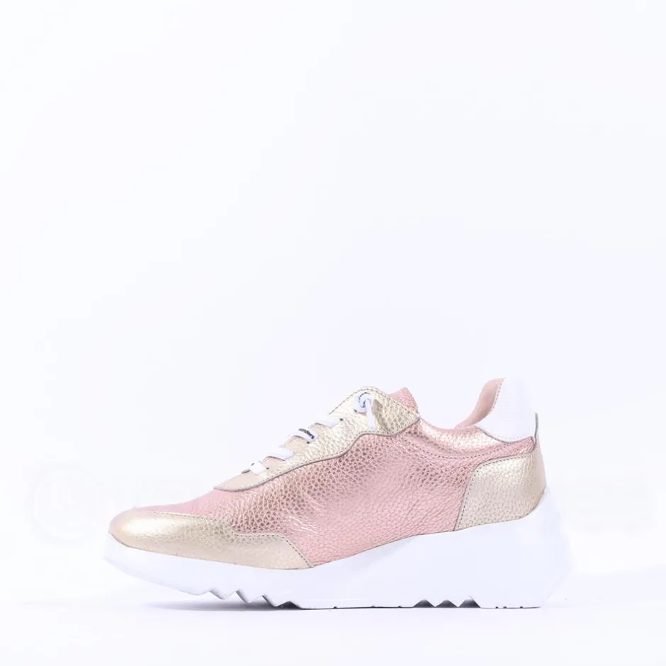 Women Wonders Kyoto Wedge Bungee Lace Trainer - Gold Combination