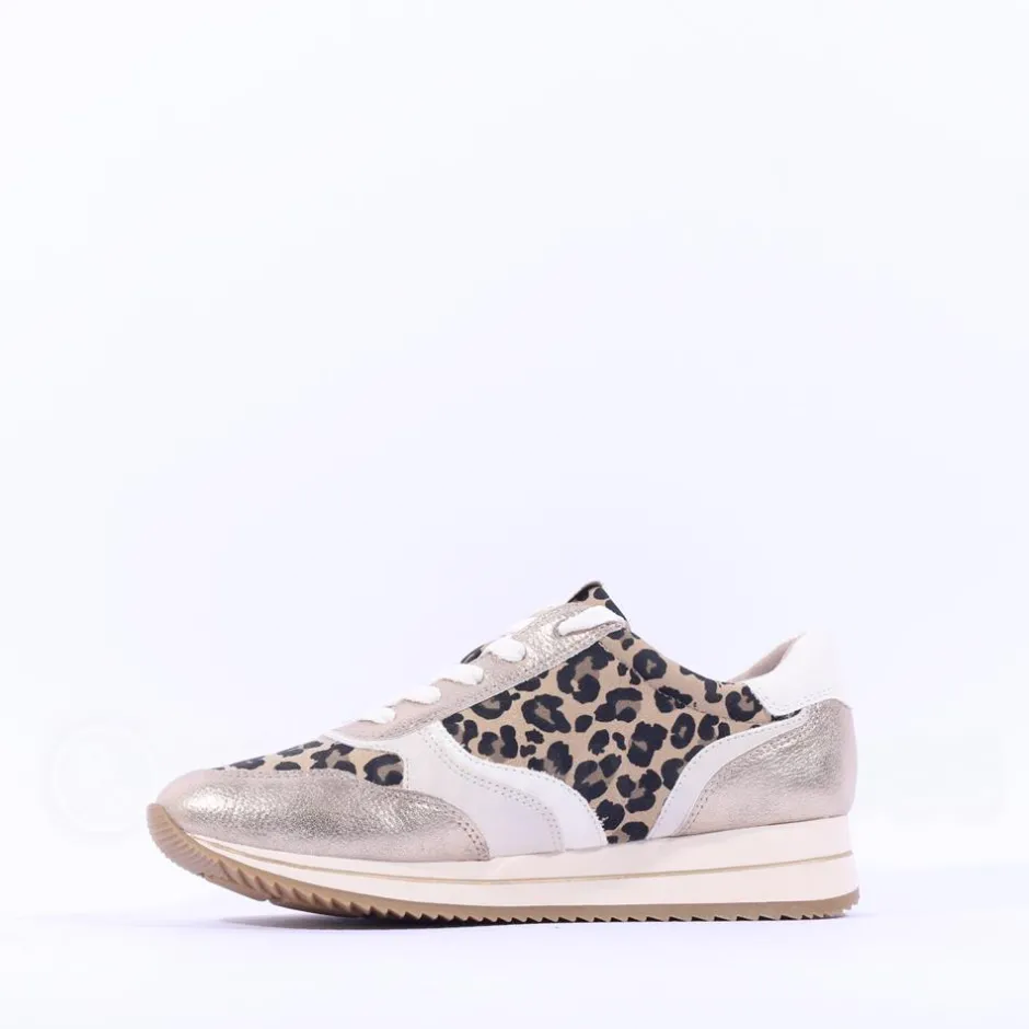Women Jana Laced Shoe With Side Zip - Leopard Combi