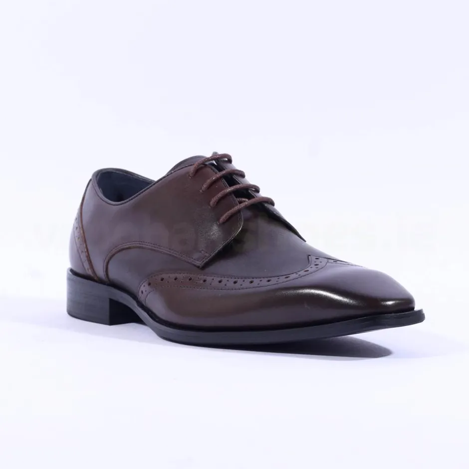Tommy Bowe Lavington Wing Tip Shoe - Brown Leather