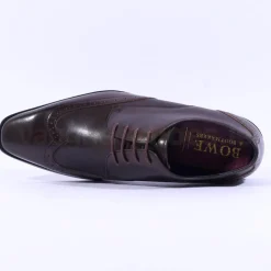 Tommy Bowe Lavington Wing Tip Shoe - Brown Leather