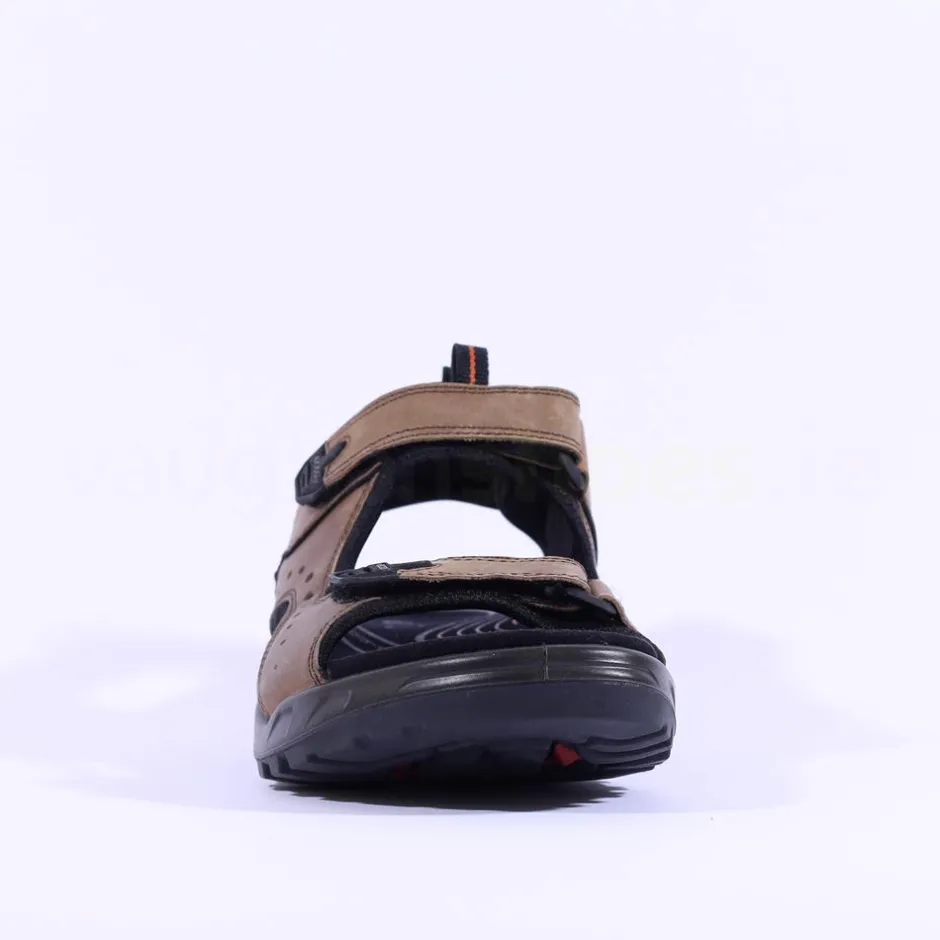Ecco Men Offroad Sandal - Brown