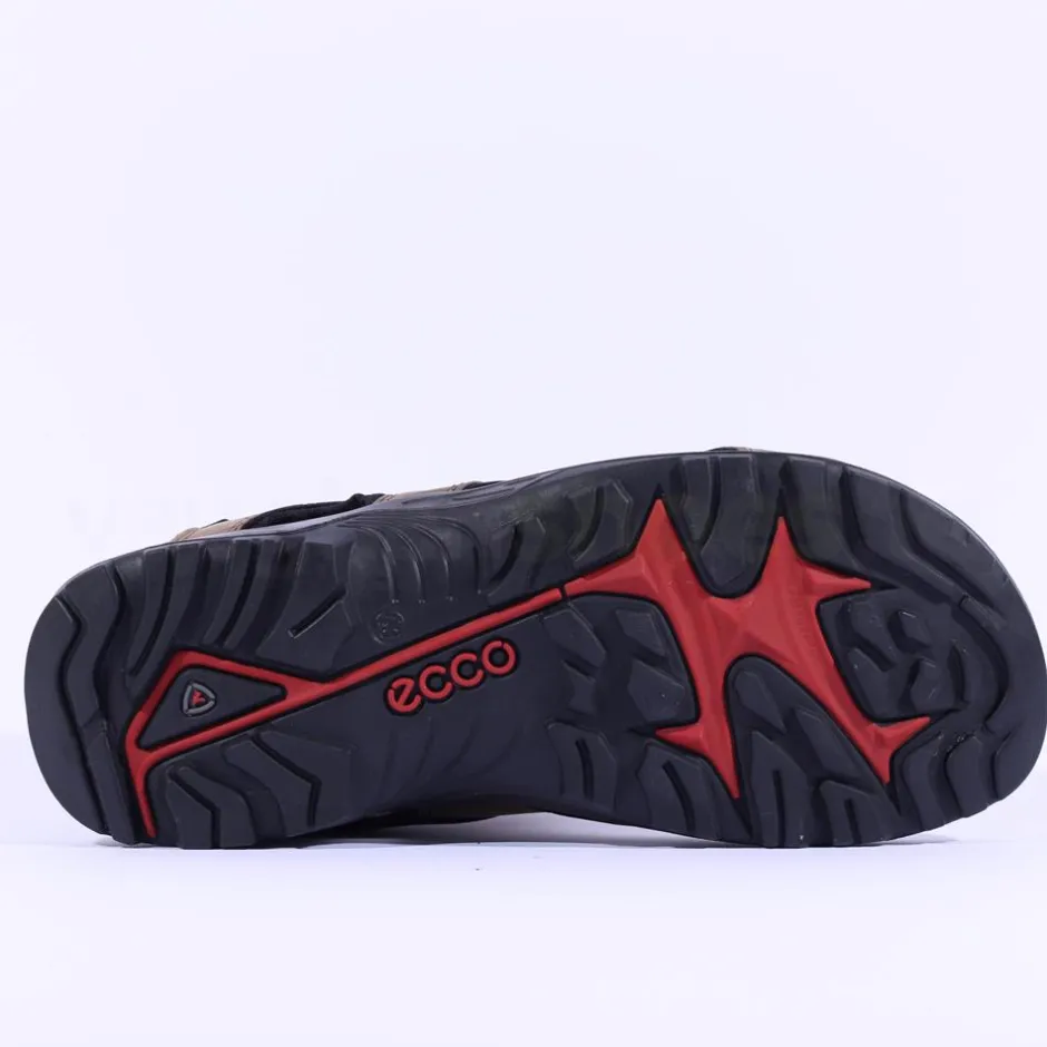 Ecco Men Offroad Sandal - Brown