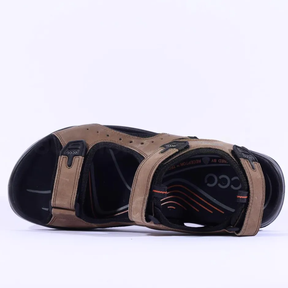 Ecco Men Offroad Sandal - Brown