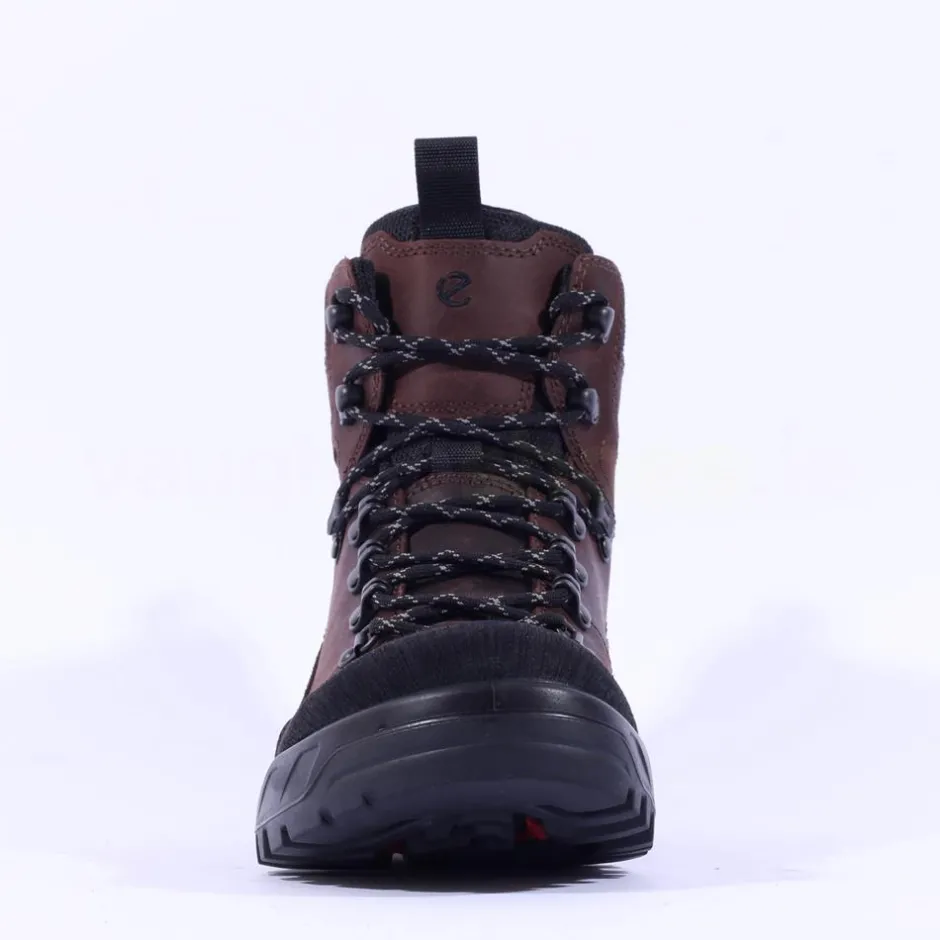 Ecco Men Offroad Waterproof Boot - Mocha