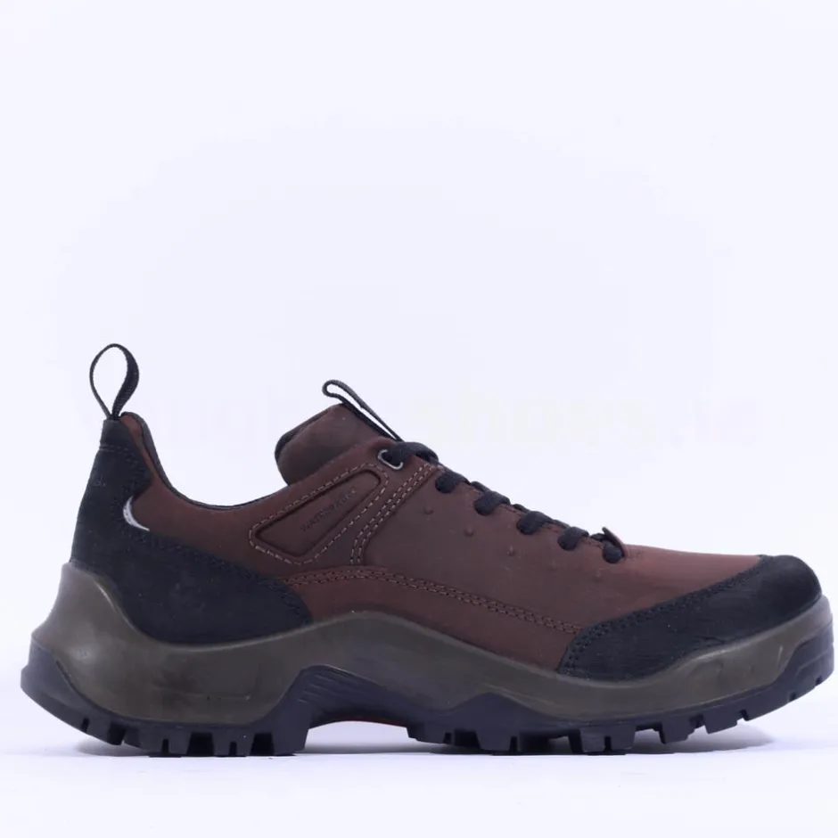Ecco Men Offroad Waterproof Hiking Shoe - Brown Leather