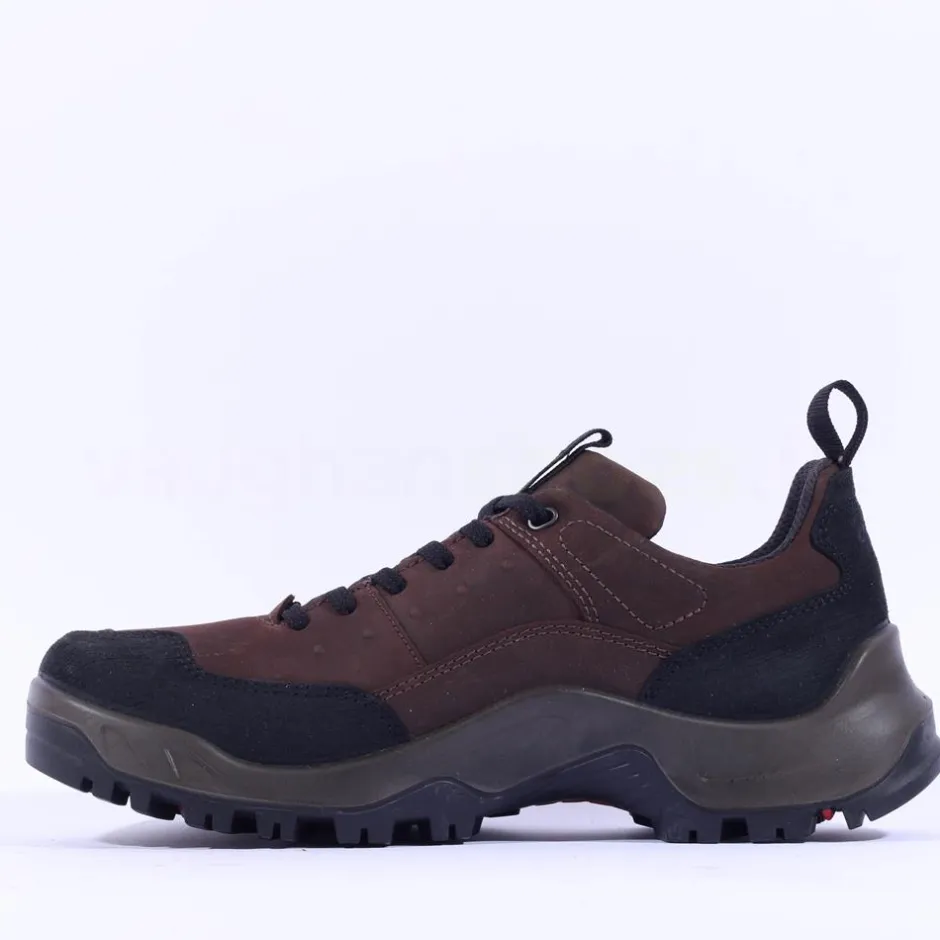 Ecco Men Offroad Waterproof Hiking Shoe - Brown Leather