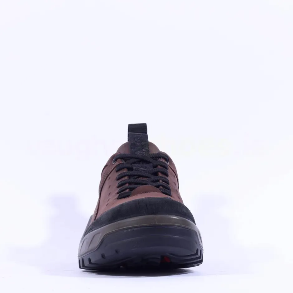 Ecco Men Offroad Waterproof Hiking Shoe - Brown Leather