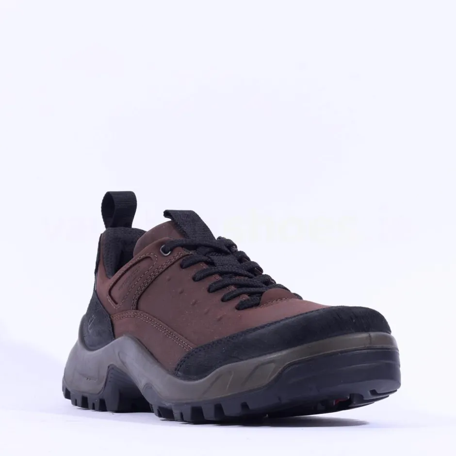 Ecco Men Offroad Waterproof Hiking Shoe - Brown Leather