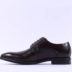 Tommy Bowe Prisco Plain Toe Derby Shoe - Chestnut Leather