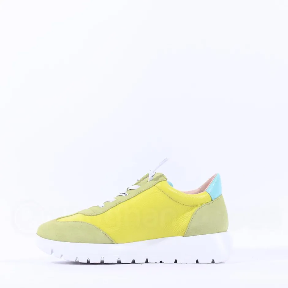 Women Wonders Racer 2 Tone Bungee Lace Trainer - Cyber