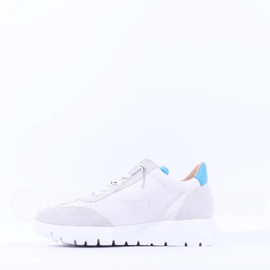 Women Wonders Racer 2 Tone Bungee Lace Trainer - White Blue