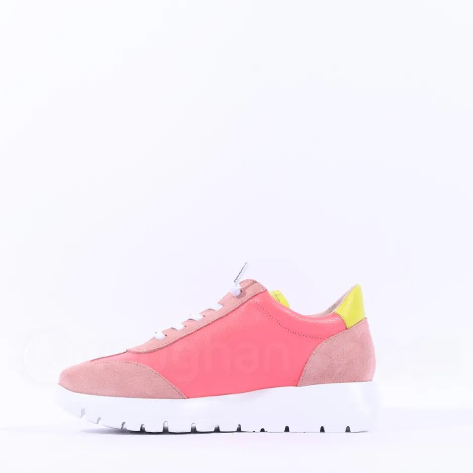 Women Wonders Racer 2 Tone Bungee Lace Trainer - Coral Peach