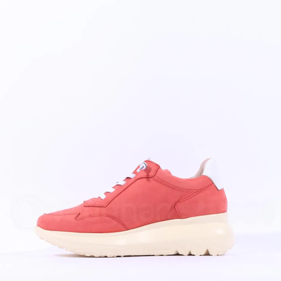 Women Wonders Samira Bungee Lace Wedge Trainer - Rust Nubuck