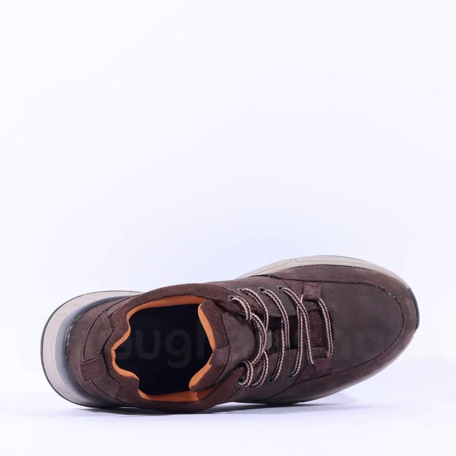 Dubarry Men Stamford Laced Walking Shoe - Donkey Brown Leather