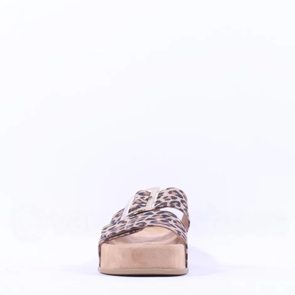 Women Paul Green 2 Strap Buckle Mule Sandal - Animal Print